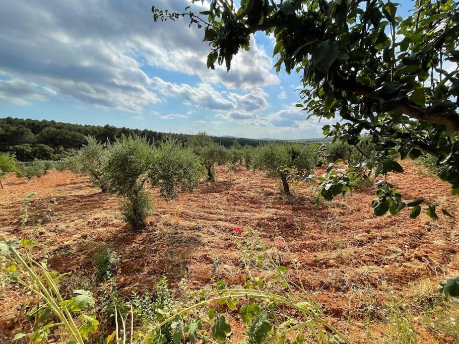 Вилла El-Cortijo Siete Aguas Экстерьер фото